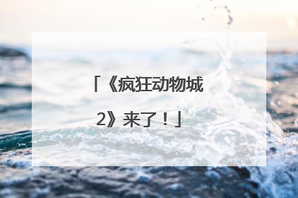 《疯狂动物城2》来了！