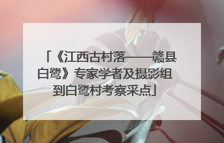 《江西古村落——赣县白鹭》专家学者及摄影组到白鹭村考察采点
