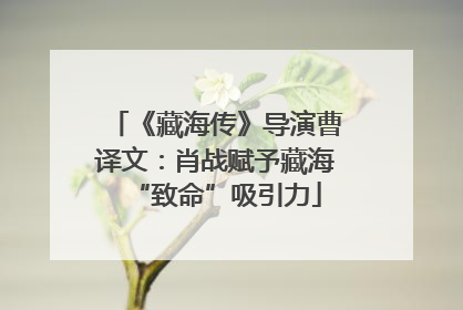 《藏海传》导演曹译文：肖战赋予藏海“致命”吸引力