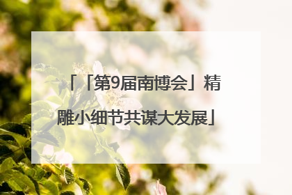「第9届南博会」精雕小细节共谋大发展