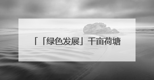 「绿色发展」千亩荷塘 十年新生｜四任航空村官的“生态接力”