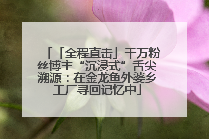 「全程直击」千万粉丝博主“沉浸式”舌尖溯源：在金龙鱼外婆乡工厂寻回记忆中