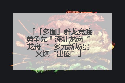 「多图」群龙竞渡勇争先！深圳龙岗“龙舟+”多元新场景火爆“出圈”