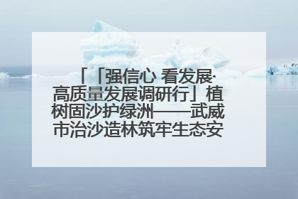 「强信心 看发展·高质量发展调研行」植树固沙护绿洲——武威市治沙造林筑牢生态安全屏障见闻