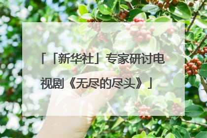 「新华社」专家研讨电视剧《无尽的尽头》