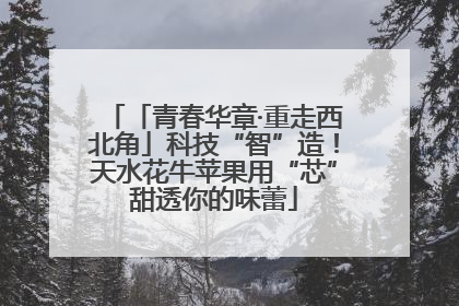 「青春华章·重走西北角」科技“智”造！天水花牛苹果用“芯”甜透你的味蕾