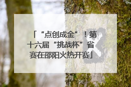 “点创成金”！第十六届“挑战杯”省赛在邵阳火热开赛