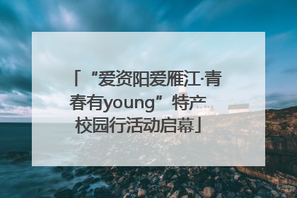 “爱资阳爱雁江·青春有young”特产校园行活动启幕