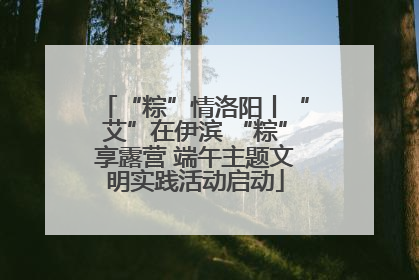 “粽”情洛阳丨“艾”在伊滨 “粽”享露营 端午主题文明实践活动启动