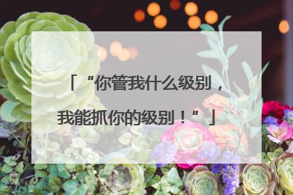 “你管我什么级别，我能抓你的级别！”