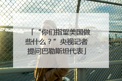 “你们指望美国做些什么？”央视记者提问巴勒斯坦代表