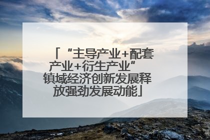 “主导产业+配套产业+衍生产业” 镇域经济创新发展释放强劲发展动能