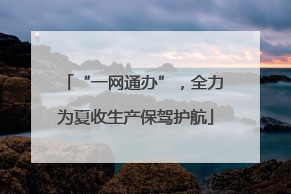 “一网通办”，全力为夏收生产保驾护航
