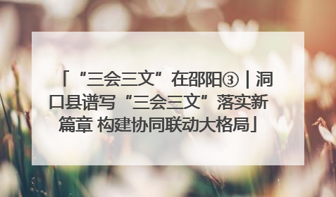 “三会三文”在邵阳③｜洞口县谱写“三会三文”落实新篇章 构建协同联动大格局
