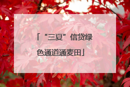 “三夏”信贷绿色通道通麦田