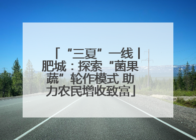 “三夏”一线丨肥城：探索“菌果蔬”轮作模式 助力农民增收致富