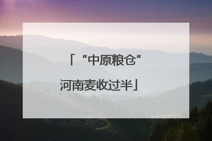 “中原粮仓”河南麦收过半