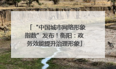 “中国城市网络形象指数”发布！衡阳：政务效能提升治理形象
