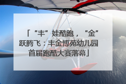 “丰”娃酷跑，“金”跃腾飞：丰金博苑幼儿园首届跑酷大赛落幕