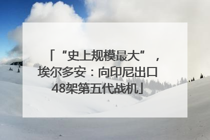 “史上规模最大”，埃尔多安：向印尼出口48架第五代战机