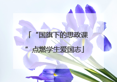 “国旗下的思政课”点燃学生爱国志
