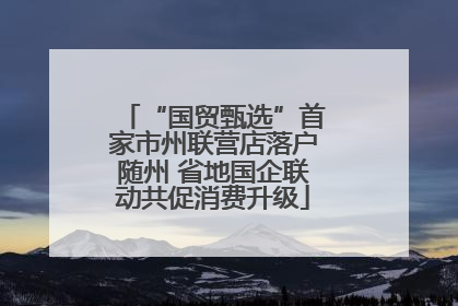 “国贸甄选”首家市州联营店落户随州 省地国企联动共促消费升级
