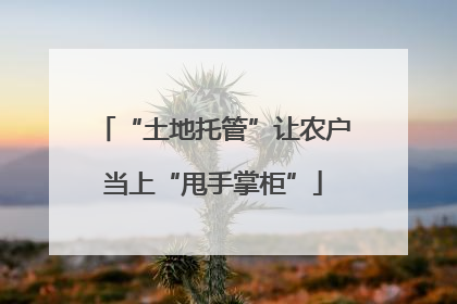“土地托管”让农户当上“甩手掌柜”
