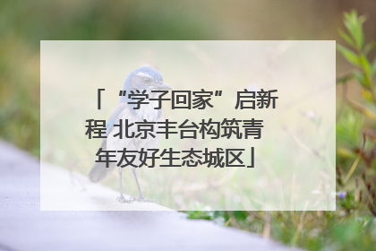 “学子回家”启新程 北京丰台构筑青年友好生态城区
