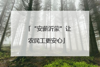 “安薪沂蒙”让农民工更安心
