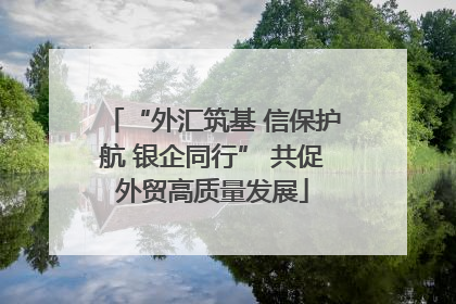“外汇筑基 信保护航 银企同行” 共促外贸高质量发展
