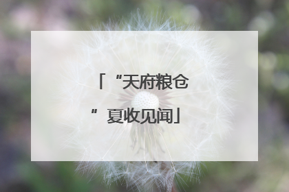 “天府粮仓”夏收见闻
