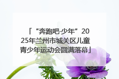 “奔跑吧·少年”2025年兰州市城关区儿童青少年运动会圆满落幕