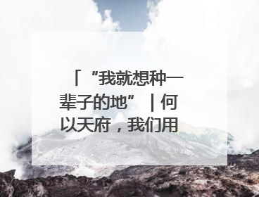 “我就想种一辈子的地”｜何以天府，我们用粮食作答②