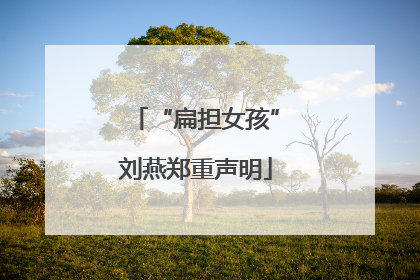 “扁担女孩”刘燕郑重声明