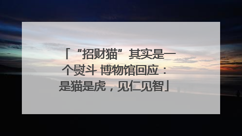 “招财猫”其实是一个熨斗 博物馆回应：是猫是虎，见仁见智