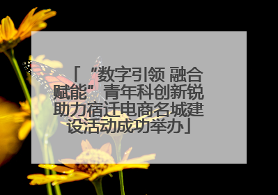 “数字引领 融合赋能”青年科创新锐助力宿迁电商名城建设活动成功举办