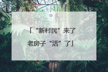 “新村民”来了 老房子“活”了