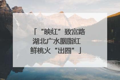 “映红”致富路 湖北广水胭脂红鲜桃火“出圈”