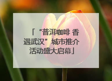 “普洱咖啡 香遇武汉”城市推介活动盛大启幕