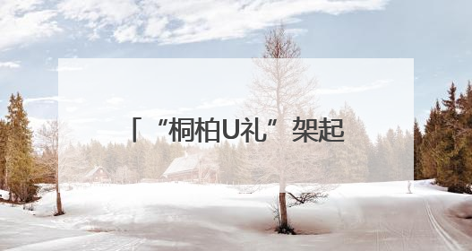 “桐柏U礼”架起助农金桥 “朱砂红桃”绘就振兴图景