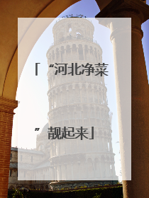 “河北净菜”靓起来