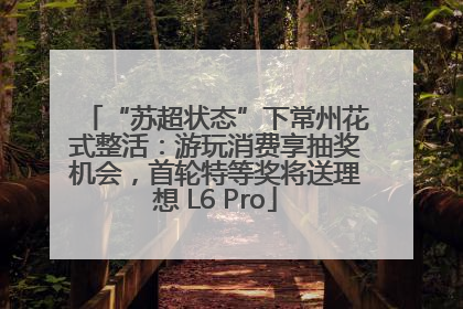 “苏超状态”下常州花式整活：游玩消费享抽奖机会，首轮特等奖将送理想 L6 Pro