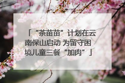 “茶苗苗”计划在云南保山启动 为留守困境儿童三餐“加肉”