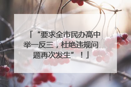 “要求全市民办高中举一反三，杜绝违规问题再次发生”！