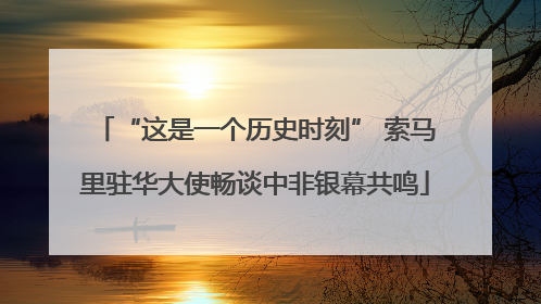 “这是一个历史时刻” 索马里驻华大使畅谈中非银幕共鸣