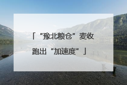 “豫北粮仓”麦收跑出“加速度”