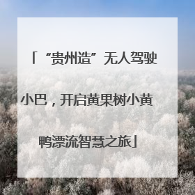 “贵州造”无人驾驶小巴，开启黄果树小黄鸭漂流智慧之旅