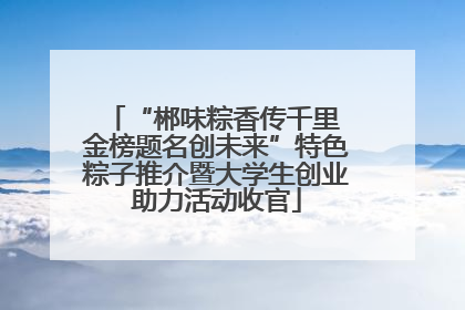 “郴味粽香传千里 金榜题名创未来”特色粽子推介暨大学生创业助力活动收官