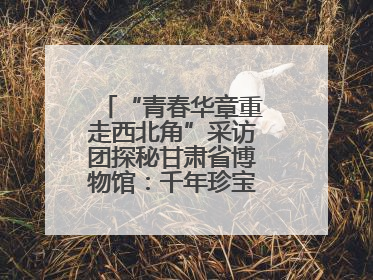 “青春华章重走西北角”采访团探秘甘肃省博物馆：千年珍宝诉说丝路辉煌