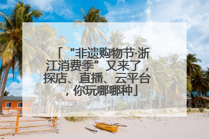 “非遗购物节·浙江消费季”又来了，探店、直播、云平台，你玩哪哪种